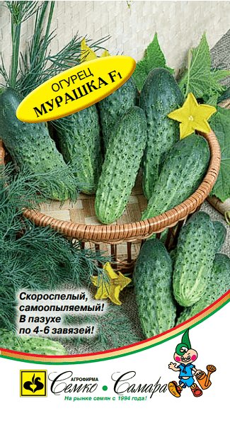 Огурец Мурашка F1