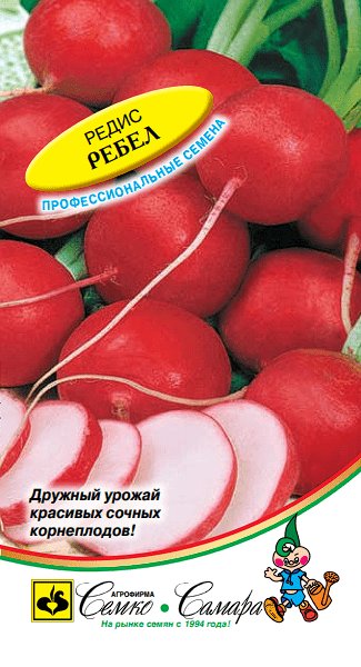 Редис Ребел