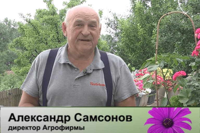 дачные советы от 15.06.2023