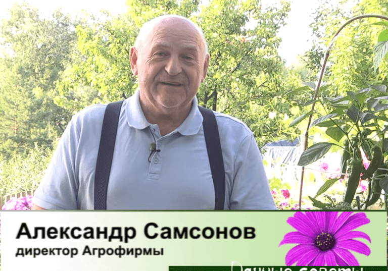 дачные советы от 13.07.2023