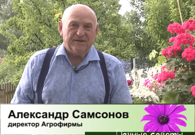 дачные советы от 29.06.2023