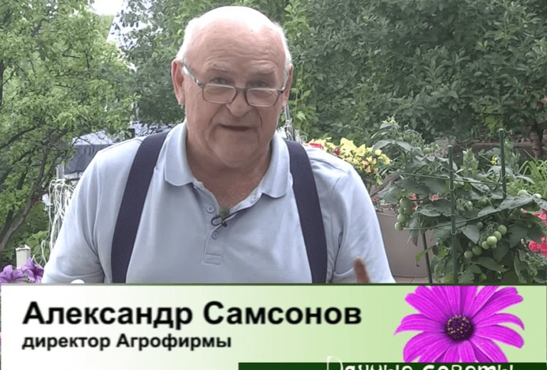 дачные советы от 22.06.2023