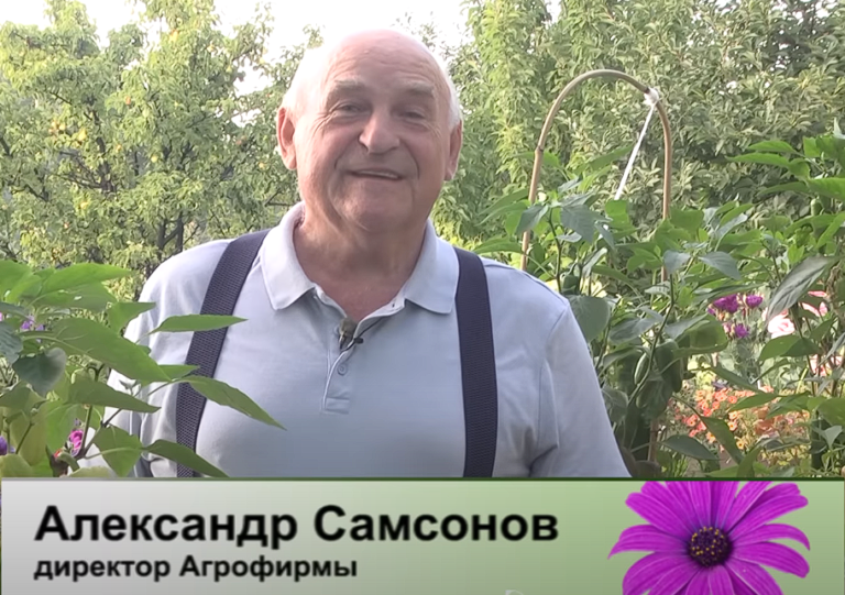 дачные советы от 03.08.2023