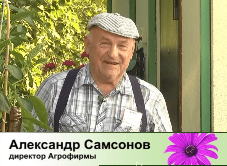 дачные советы от 17.08.2023