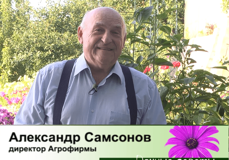 дачные советы от 27.07.2023