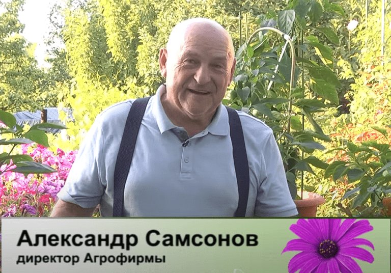 дачные советы от 10.08.2023