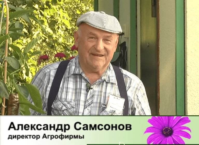 дачные советы от 17.08.2023