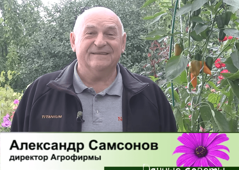 дачные советы от 14.09.2023