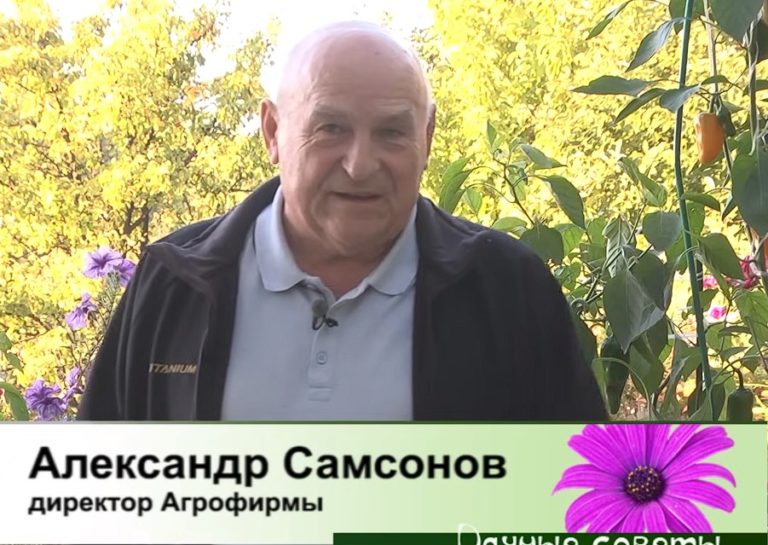 дачные советы от 21.09.2023