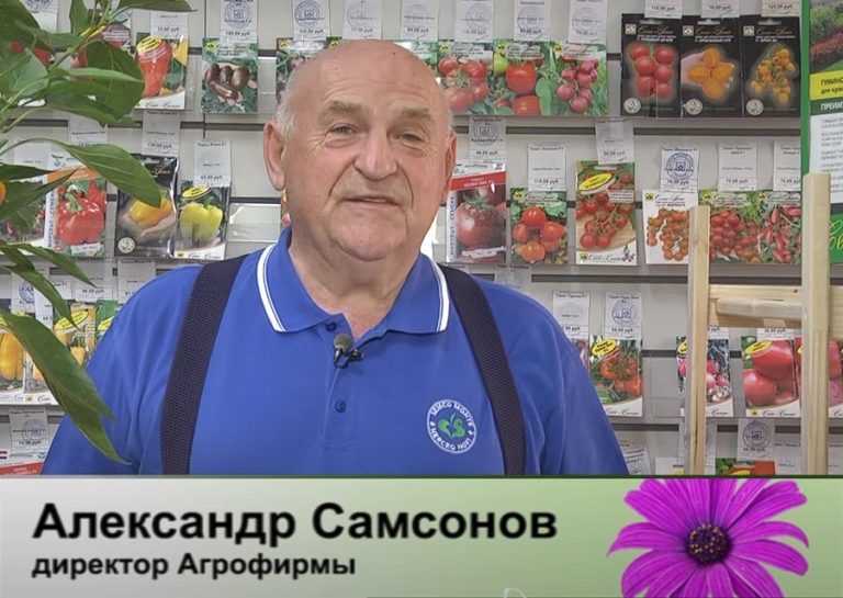 дачные советы от 05.10.2023