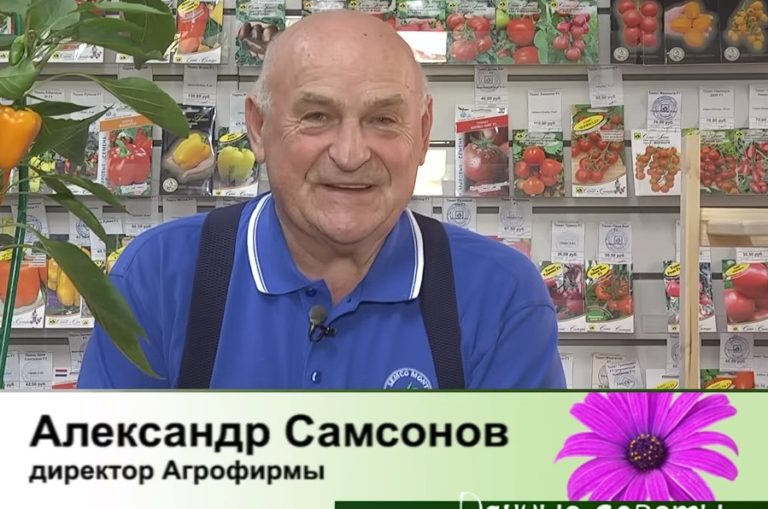 дачные советы от 12.10.2023