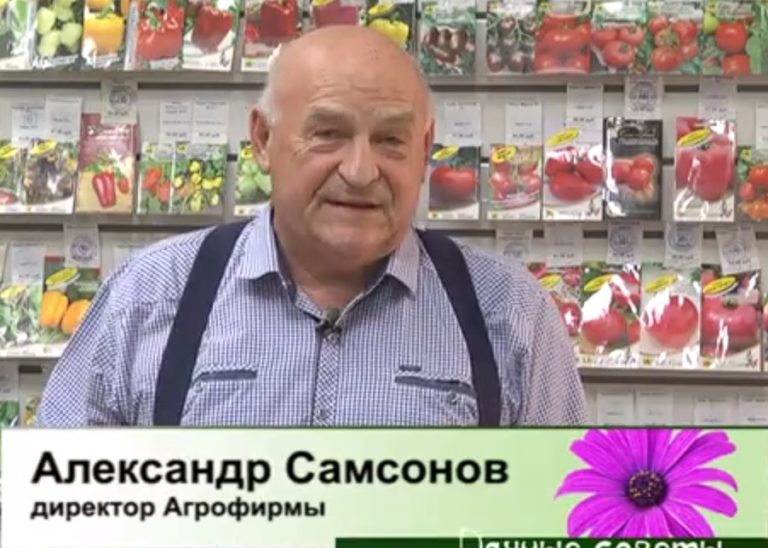 дачные советы от 19.10.2023