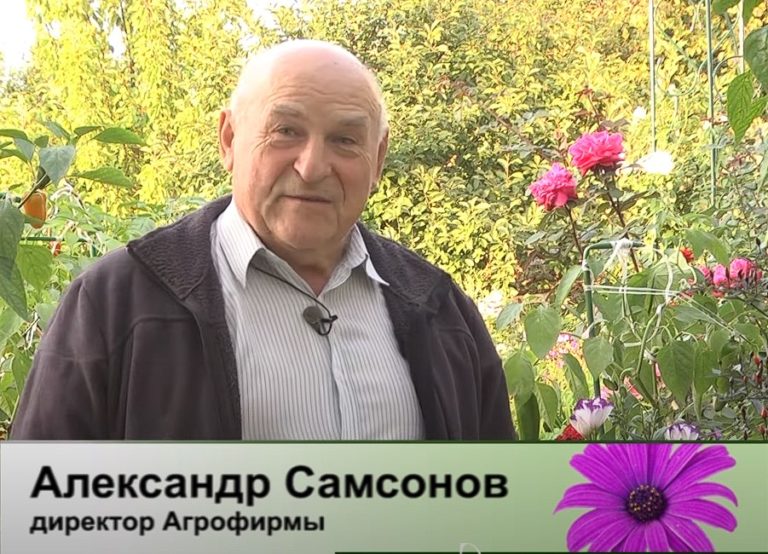 дачные советы от 28.09.2023