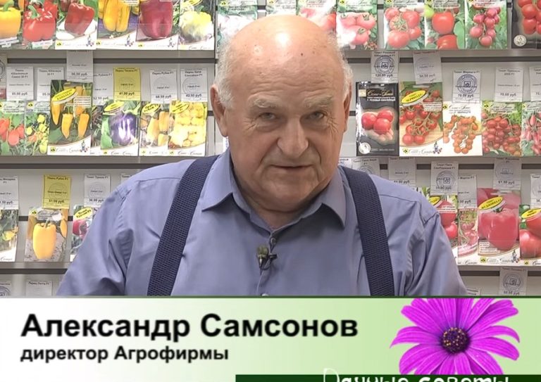 дачные советы от 01.11.2023