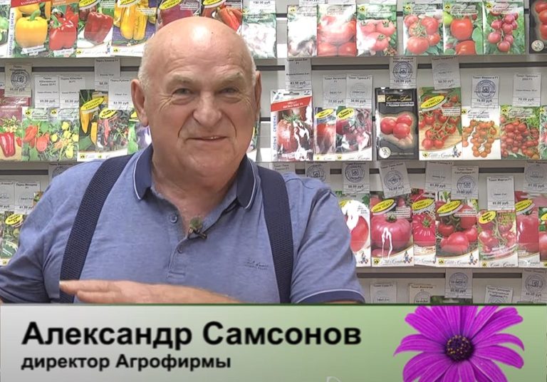 дачные советы от 09.11.2023