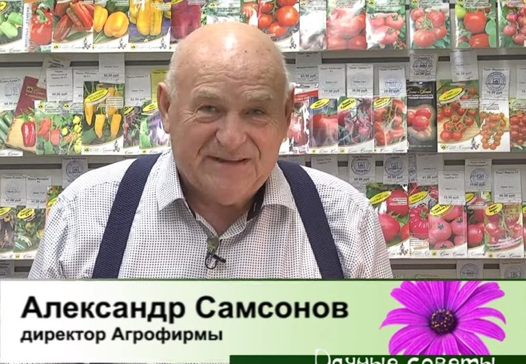 дачные советы от 16.11.2023