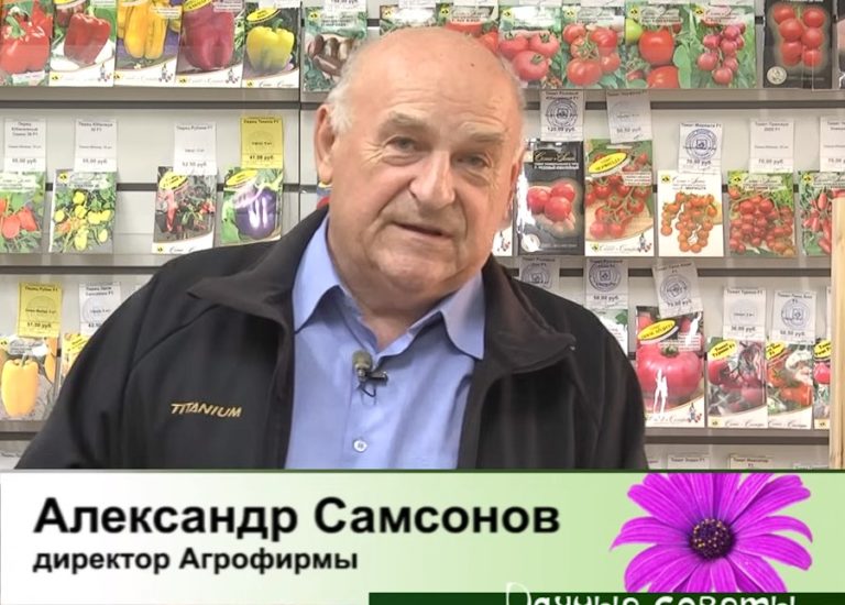 дачные советы от 26.10.2023