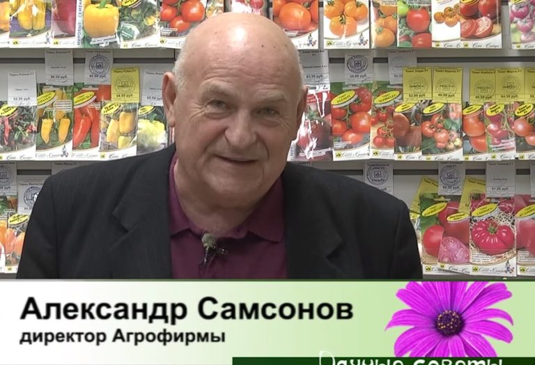 дачные советы от 07.12.2023