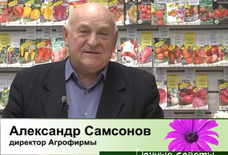 дачные советы от 14.12.2023