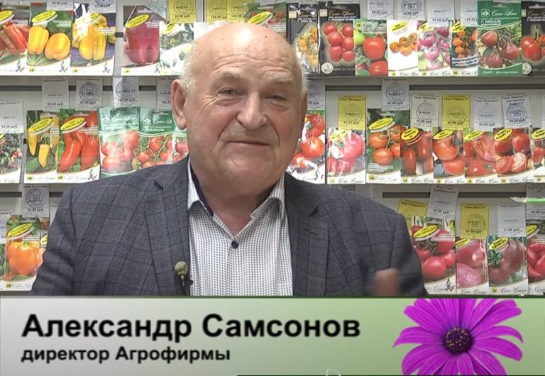 дачные советы от 21.12.2023