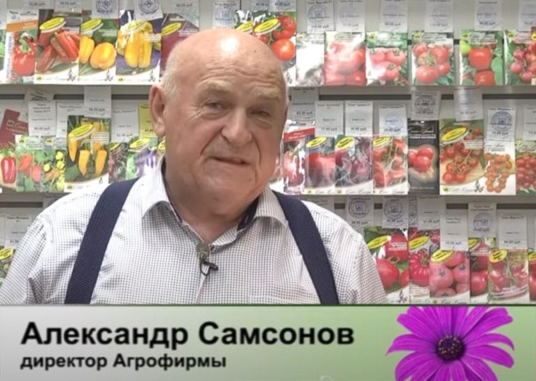 дачные советы от 23.11.2023