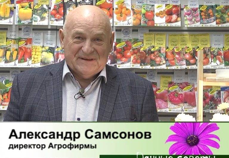 дачные советы от 30.11.2023