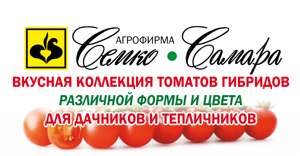 обложка за декабрь 2023