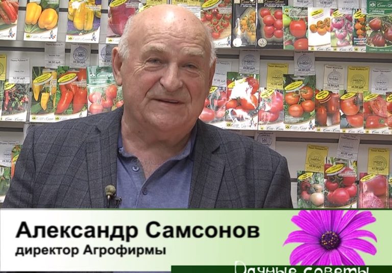 дачные советы от 28.12.2023