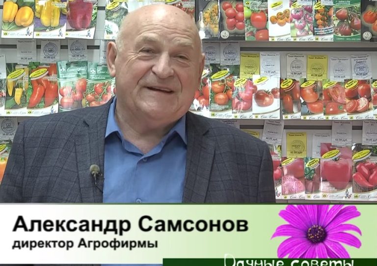 дачные советы от 11.01.2024
