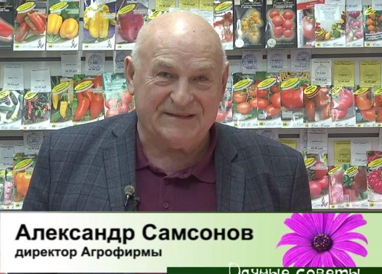 дачные советы от 18.01.2024