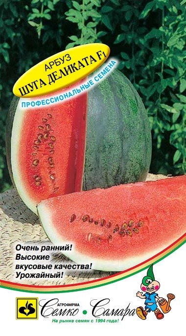 арбуз Шуга Деликата