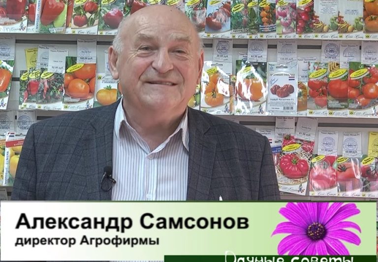 дачные советы от 07.03.2024