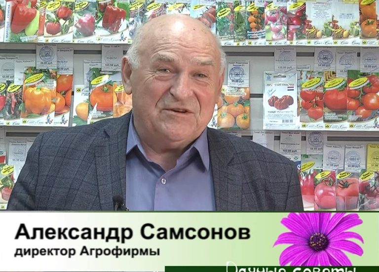 дачные советы от 15.03.2024
