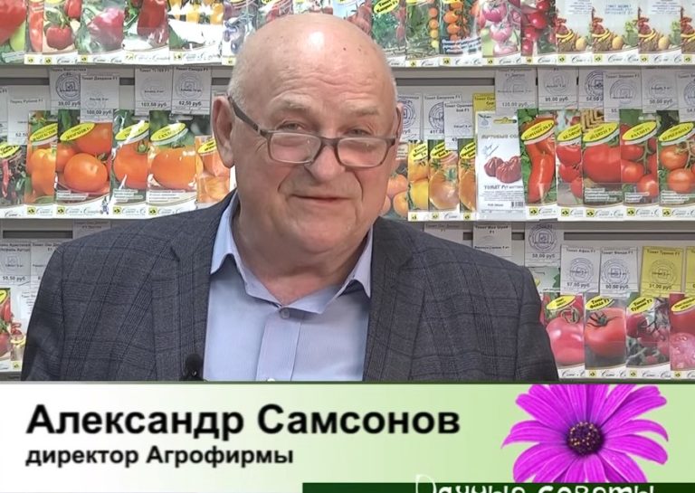 дачные советы от 21.03.2024