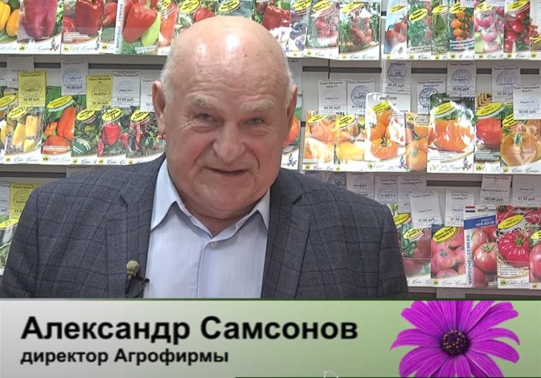 дачные советы от 22.02.2024