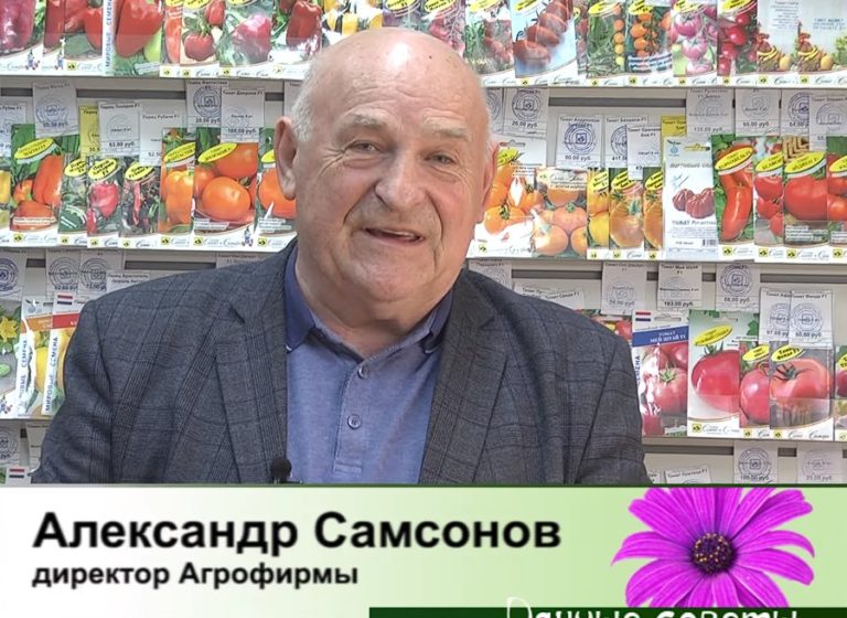 дачные советы от 28.03.2024