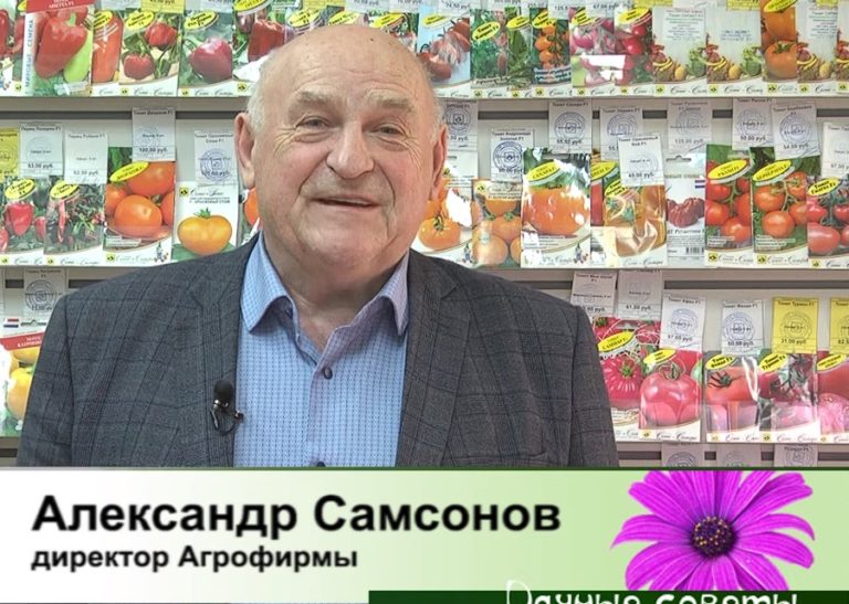 дачные советы от 29.02.2024