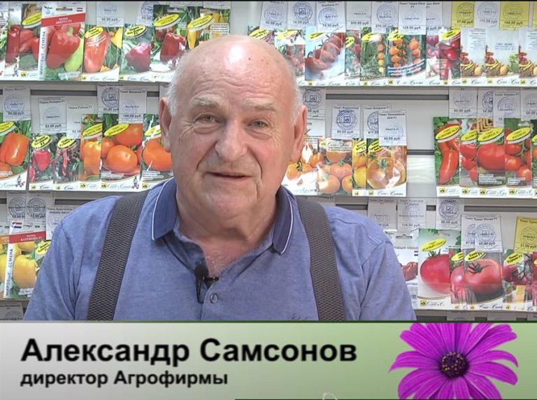 дачные советы от 04.04.2024