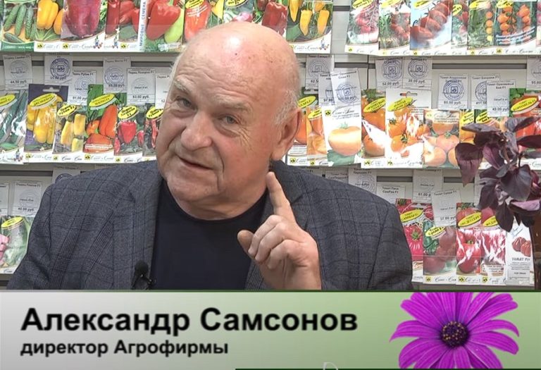 дачные советы от 11.04.2024