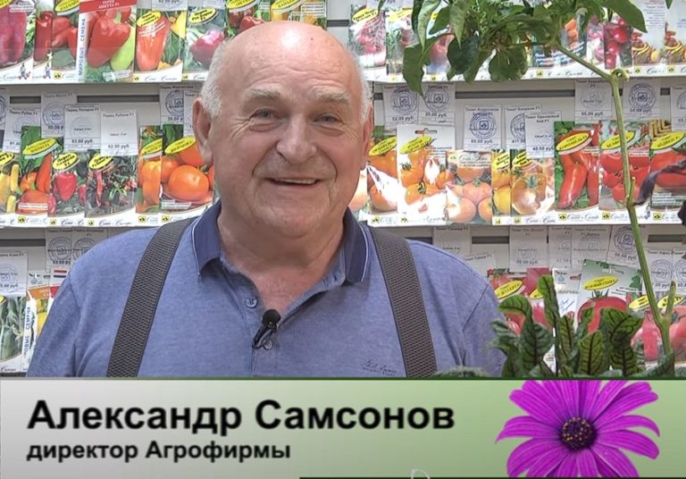 дачные советы от 18.04.2024