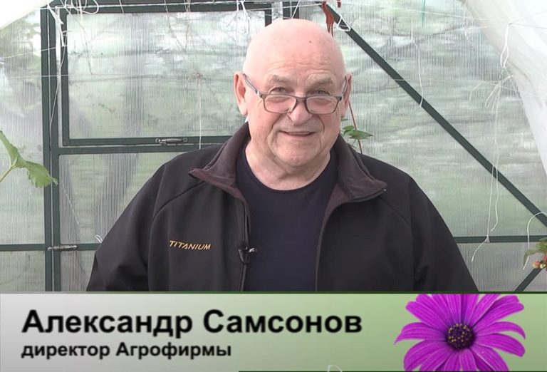 дачные советы от 02.05.2024