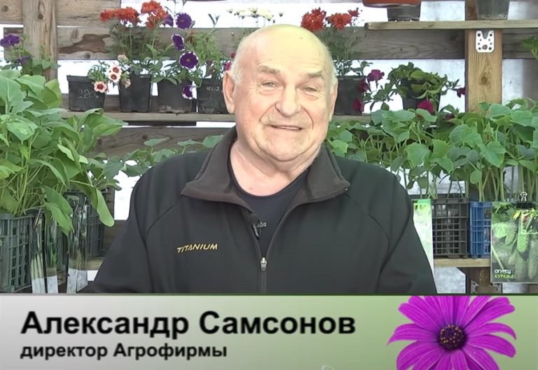 дачные советы от 16.05.2024