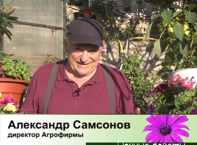 дачные советы от 23.05.2024