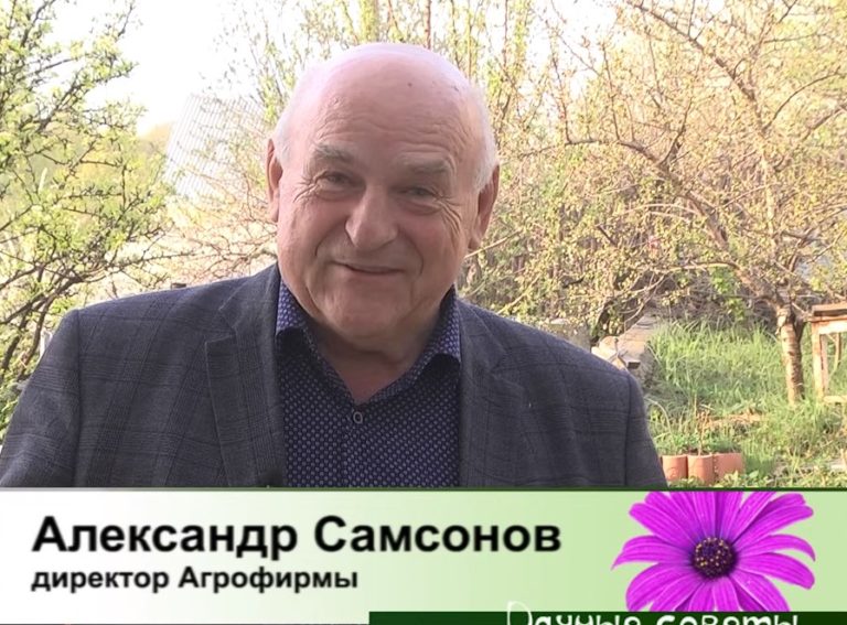 дачные советы от 25.04.2024