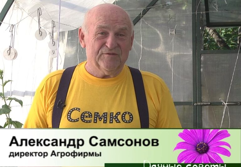 дачные советы от 06.06.2024