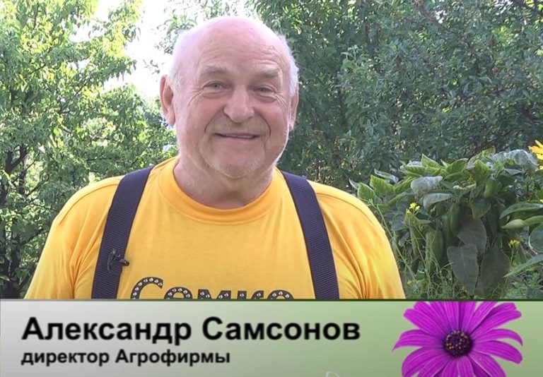 дачные советы от 13.06.2024
