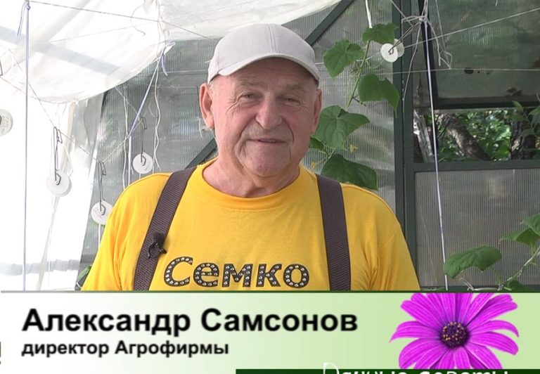 дачные советы от 20.06.2024