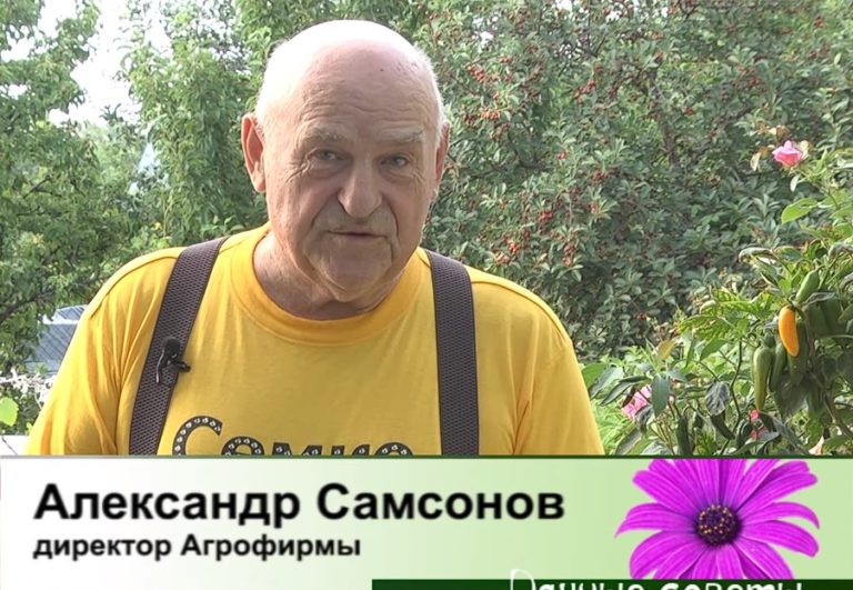 дачные советы от 27.06.2024