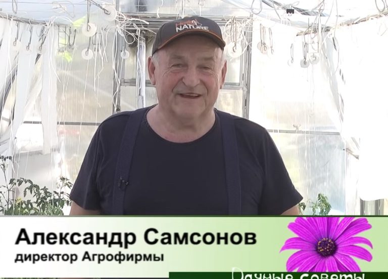 дачные советы от 30.05.2024