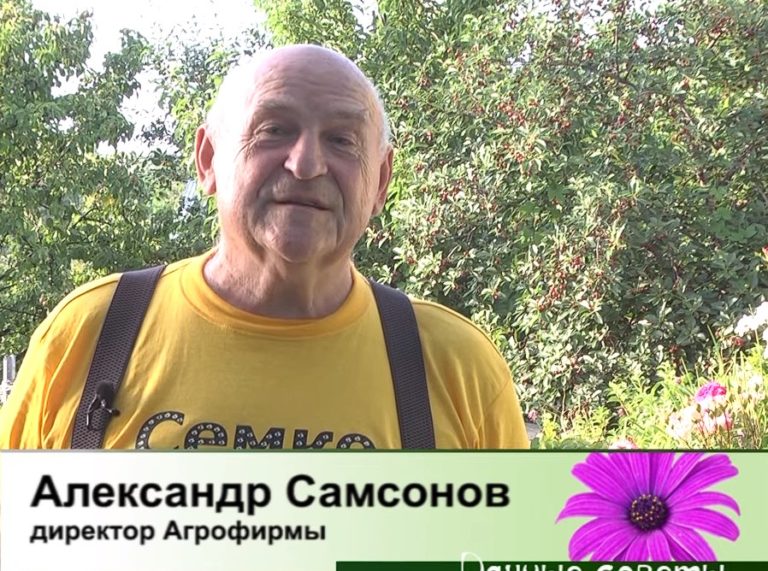 дачные советы от 04.07.2024